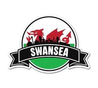 2 x 10cm Swansea Vinyl Stickers - Wales Welsh Dragon UK GB City Flag Travel Holiday Geography Location Decal Scrapbook Sticker #83158