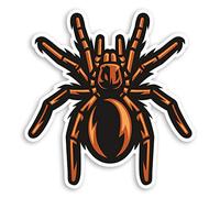2 x 10cm Tarantula Spider Vinyl Stickers - Arachnid Scary Laptop Sticker #31817 (10cm Tall)