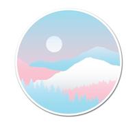 2 x 10cm Transgender Flag Vinyl Stickers - Subtle Landscape Trans Rights LGBTQ Pride Month Gay Flag Identity Decal Scrapbook Sticker #83073
