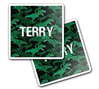 2 x 10cm Vinyl Square Stickers Set - Name Terry TRex Dinosaur Tyrannosaurus Letter Lettering Travel Scrapbooking Gift Decal Wall Art Self Adhesive Waterproof #259711