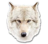 2 x 10cm White Husky Wolf Head Vinyl Sticker Laptop Tablet Car Dog Animal #6368 (8.5cm Wide x 10cm Tall)
