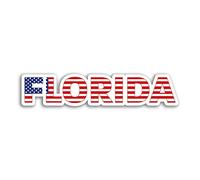 2 x 10cm Wide Florida Vinyl Stickers - Flag America Travel USA State Sticker #75287