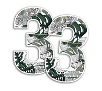 2 x 15cm Tall Tropical Leaves Number Vinyl Stickers - Numbers Palm Trees Leaf Pattern Home Car Dustbins Wheelie Bin Garbage Bins Sticker (Number 3)