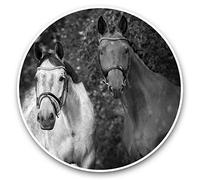 2 x 15cm Vinyl Stickers - Beautiful Horses PoFunny Horse Equine Decals 43684