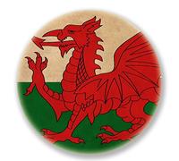 2 x 20cm/200mm Wales Welsh Flag Window Cling Sticker Car Van Campervan Glass #6632