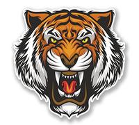2 x 20cm Angry Tiger Vinyl Sticker Laptop Tablet Car Bike Lion Cat Animal #6681 (20cm Wide x 20cm Tall)