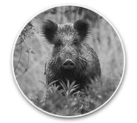 2 x 20cm Vinyl Stickers (bw) - Wild Boar Sus Scrofa Hog Pig Animal 43772