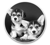 2 x 20cm Vinyl Stickers - Cute Corgi Puppies Puppy Dog Decals 38653