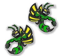 2 x 25cm/250mm Green Hornet Wasp Window Cling Sticker Car Van Campervan Glass #6465