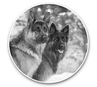 2 x 30cm Vinyl Stickers - German Shepherd Dog Alsatian Winter 42374