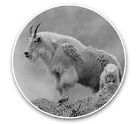 2 x 30cm Vinyl Stickers - Majestic Mountain Goat Wild Animals Decals 41243