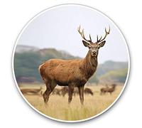 2 x 30cmVinyl Stickers - Adult Red Deer Stag Animal Decals for Car Van Luggage Scrap Book Fridge #21110