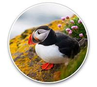 2 x 30cmVinyl Stickers - Atlantic Puffin Bird Decals for Car Van Luggage Scrap Book Fridge #21164