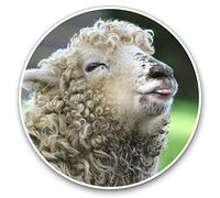 2 x 30cmVinyl Stickers - Cheeky Raspberry Kiss Sheep Lamb Decals for Car Van Luggage Scrap Book Fridge #16044