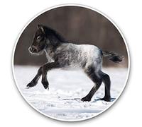 2 x 30cmVinyl Stickers - Cute Foal Horse Pony Snow Decals for Car Van Luggage Scrap Book Fridge #2130