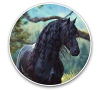 2 x 30cmVinyl Stickers - Friesian Stallion Black Horse Equine Decals for Car Van Luggage Scrap Book Fridge #16227