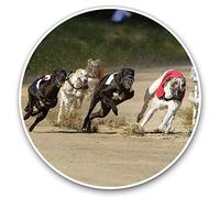 2 x 30cmVinyl Stickers - Greyhound Racing Dogs Betting Decals for Car Van Luggage Scrap Book Fridge #15761