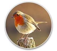 2 x 30cmVinyl Stickers - Robin Redbreast Bird Animals Birds Decals for Car Van Luggage Scrap Book Fridge #8701