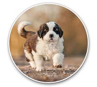 2 x 30cmVinyl Stickers - Saint Bernard Dog Puppy Decals for Car Van Luggage Scrap Book Fridge #12671