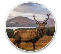 2 x 30cmVinyl Stickers - Stag Deer Scottish Highlands Decals for Car Van Luggage Scrap Book Fridge #14361
