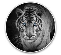 2 x 30cmVinyl Stickers - White Tiger Wild Big Cat Jungle Animal Decals for Car Van Luggage Scrap Book Fridge #24434