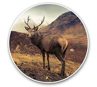 2 x 30cmVinyl Stickers - Wild Stag Deer Glencoe Scotland Decals for Car Van Luggage Scrap Book Fridge #15823