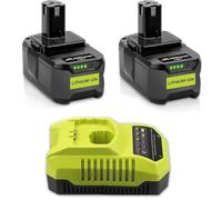 2 X 5.5Ah Replacement Battery for Ryobi 18V + P117 Charger
