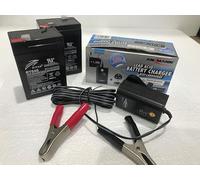 2 x 6v -4.5ah batteries plus 6v/12v charger for toy cars