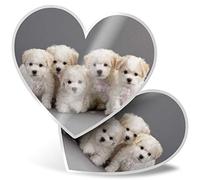 2 x 7.5cm Heart Stickers - White Bichon Frise Puppy Dog Decals 15566