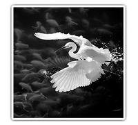 2 x 7.5cm Square Vinyl Stickers - Amazing Heron Bird Fishing Decals 38708