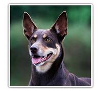 2 x 7.5cm Square Vinyl Stickers - Australian Kelpie Sheep Dog Farm Dogs Decals 44169