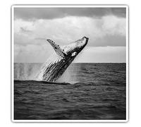 2 x 7.5cm Square Vinyl Stickers - Humpback Whale Ocean Decals 38272