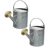 2 x 9L 9 Litres / 2 Gallon Garden Plant Flower Galvanised Metal Steel Watering Can with Brass Rose