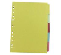 2 X A4 Multi Punched Subject Divider