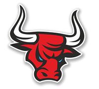 2 x Angry Red Spanish Bull Sticker Car Bike Bike Laptop Guitar Decal Spain #4159 (9.8cm Wide x 10cm Tall)