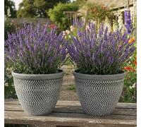 2 x Brick effect polyresin flower garden plant pots (Black and White, Medium)