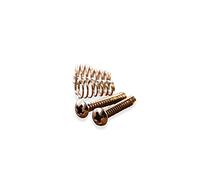 2 x Chrome Single Coil Pickup Screws for Wilkinson Vintage Stratocaster, Telecaster, Guitars (Set of 2, Chrome)