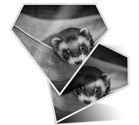 2 x Diamond Stickers 7.5 cm BW - Baby Ferret Weasle Hammock Fun Decals for Laptops,Tablets,Luggage,Scrap Booking,Fridges, #37772