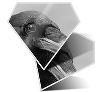 2 x Diamond Stickers 7.5 cm BW - Black Raven Bird Crow Wild Horror 43425
