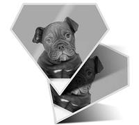 2 x Diamond Vinyl Stickers 7.5 cm Cute Old English Bulldog Puppy Dog 42763