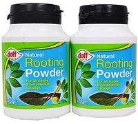 Rooting powder 75gm | Maintains strong healthy roots For all kinds of plants | Natural Rooting powder | Pack of 2
