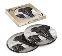 2 x Eco Boxed Cork Coasters - African Elephant Herd Drink Cup Mug Glass Table Mat #8955