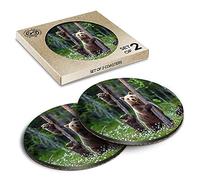2 x Eco Boxed Cork Coasters - Brown Bear Wild Animal Drink Cup Mug Glass Table Mat #24495