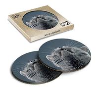 2 x Eco Boxed Cork Coasters - Cute Cat British Blue Drink Cup Mug Glass Table Mat #21203