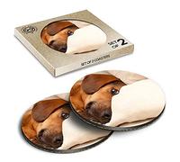 2 x Eco Boxed Cork Coasters - Cute Dachshund Sausage Dog Drink Cup Mug Glass Table Mat #14257