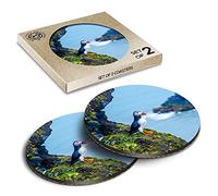2 x Eco Boxed Cork Coasters - Cute Puffin Bird Sea Birds Iceland Wild Drink Cup Mug Glass Table Mat #24072