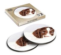 2 x Eco Boxed Cork Coasters - Cute Spaniel Puppy Dog Animals Pets Drink Cup Mug Glass Table Mat #8672