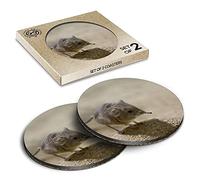 2 x Eco Boxed Cork Coasters - Elephant Shrew Small Rodent Mouse Rat Drink Cup Mug Glass Table Mat #44950