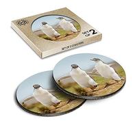 2 x Eco Boxed Cork Coasters - Gentoo Penguin ny Penguins Drink Cup Mug Glass Table Mat #21578