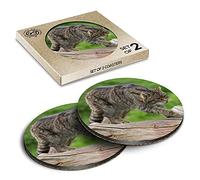 2 x Eco Boxed Cork Coasters - Great Scottish Wildcat Drink Cup Mug Glass Table Mat #16321
